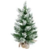 Northlight 22" Flocked Pine Full Artificial Christmas Tree In Burlap Base - Unlit 1 Northlight 22" Flocked Pine Full Artificial Christmas Tree In Burlap Base - Unlit -Christmas Decor Sale northlight v03955 1new 86982.1670057373