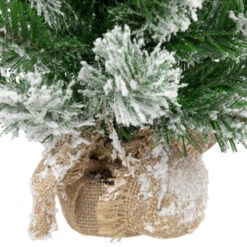 Northlight 22" Flocked Pine Full Artificial Christmas Tree In Burlap Base - Unlit -Christmas Decor Sale northlight v03955 4new 89745.1670057375
