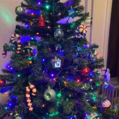 Northlight 6' Colorado Spruce 2-Tone Artificial Christmas Tree, Unlit 15 Northlight 6' Colorado Spruce 2-Tone Artificial Christmas Tree, Unlit -Christmas Decor Sale northlight v03974 2 cxpic 14554.1680285172