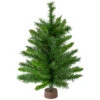 Northlight 24" Mixed Kateson Fir Medium Artificial Christmas Tree - Unlit -Christmas Decor Sale northlight v03996 updated 04254.1628608990