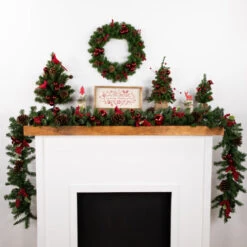 Northlight Green Colorado Spruce Artificial Christmas Wreath - 16" - Unlit -Christmas Decor Sale northlight v150952c20v04272 styled 96921.1689085522
