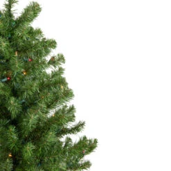 Northlight 4' Pre-Lit Full Canadian Pine Artificial Christmas Tree, Multicolor Lights -Christmas Decor Sale northlight v15853 3new 31586.1669884005