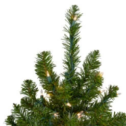 Northlight 5' Pre-Lit Medium Canadian Pine Artificial Christmas Tree, Clear Lights -Christmas Decor Sale northlight v15883 2updated 26958.1665610757
