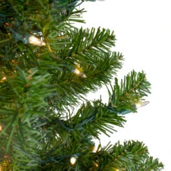 Northlight 5' Pre-Lit Medium Canadian Pine Artificial Christmas Tree, Clear Lights -Christmas Decor Sale northlight v15883 3updated 24328.1665610757