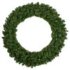Northlight Pre-Lit Canadian Pine Artificial Christmas Wreath - 48" - Clear Lights
