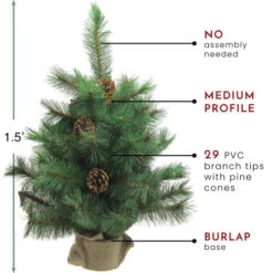 Northlight 18" Medium Royal Oregon Pine Burlap Base Artificial Christmas Tree - Unlit -Christmas Decor Sale northlight v15923 thumbnail 87606.1604542604