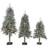 Set Of 3 Pre-Lit Slim Flocked Alpine Artificial Christmas Trees 5' - Clear Lights 2 Set Of 3 Pre-Lit Slim Flocked Alpine Artificial Christmas Trees 5' - Clear Lights -Christmas Decor Sale northlight v27434update 16885.1668500848