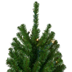 Northlight Set Of 3 Pre-Lit Slim Alpine Artificial Christmas Trees 6' - Clear Lights 9 Northlight Set Of 3 Pre-Lit Slim Alpine Artificial Christmas Trees 6' - Clear Lights -Christmas Decor Sale northlight v27437 2updated 55998.1665610744