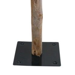 Set Of 3 Pre-Lit Slim Flocked Alpine Artificial Christmas Trees 5' - Clear Lights -Christmas Decor Sale northlight v27441 4 73474.1587644033