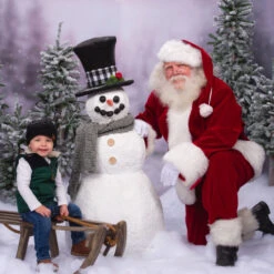 Northlight Set Of 3 Flocked Alpine Artificial Christmas Trees - Unlit -Christmas Decor Sale northlight v27444 cxpic 83078.1676369311