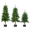 Northlight Set Of 3 Alpine Artificial Christmas Trees 4', 5' And 6' - Unlit 1 Northlight Set Of 3 Alpine Artificial Christmas Trees 4', 5' And 6' - Unlit -Christmas Decor Sale northlight v27452 updarte 74899.1668587289