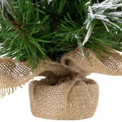 Northlight Whitecap Pine Artificial Mini Christmas Tree - 14" - Unlit -Christmas Decor Sale northlight v96289 03 61383.1726279113