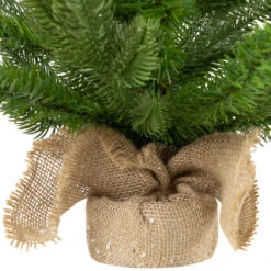 Northlight Real Touch™? Potted Sarasota Pine Artificial Mini Christmas Tree - 24" - Unlit -Christmas Decor Sale northlight v96304 03 44992.1726279113