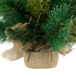 Spruce Pine Needle And Pinecone Artificial Mini Christmas Tree - 25" - Unlit 14 Spruce Pine Needle And Pinecone Artificial Mini Christmas Tree - 25" - Unlit -Christmas Decor Sale northlight v96305 03 46939.1726279113