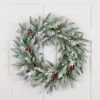 Northlight Real Touch™? Flocked Wind River Fir With Berries Artificial Christmas Wreath - 24" - Unlit -Christmas Decor Sale northlight v96306 styled. 99829.1726279112