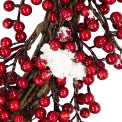 Northlight Real Touch™? Frosted Berry Artificial Christmas Wreath - 18" - Unlit -Christmas Decor Sale northlight vm37740 03 32935.1691679746