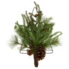 Northlight 21" Pine Christmas Tree Wall Hanging Decoration With Pinecones -Christmas Decor Sale northlight vm92770 updated 22783.1659123959