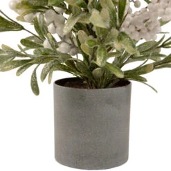 Northlight 2' Potted White Berry And Frosted Pine Christmas Tree, Unlit 8 Northlight 2' Potted White Berry And Frosted Pine Christmas Tree, Unlit -Christmas Decor Sale northlight vm92773 3 44407.1660325555