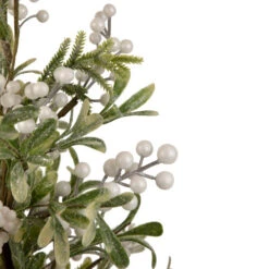 Northlight 2' Potted White Berry And Frosted Pine Christmas Tree, Unlit 9 Northlight 2' Potted White Berry And Frosted Pine Christmas Tree, Unlit -Christmas Decor Sale northlight vm92773 4 71762.1660325556