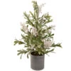 Northlight 2' Potted White Berry And Frosted Pine Christmas Tree, Unlit 2 Northlight 2' Potted White Berry And Frosted Pine Christmas Tree, Unlit -Christmas Decor Sale northlight vm92773 70941.1660325555