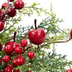 Northlight Frosted Berry And Crabapple Artificial Cedar And Pine Christmas Wreath - 24" - Unlit -Christmas Decor Sale northlight yk95972 03 03446.1709061159