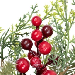 Northlight Frosted Berry And Crabapple Artificial Cedar And Pine Christmas Wreath - 24" - Unlit -Christmas Decor Sale northlight yk95972 04 17774.1709061159