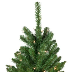 Northlight 6.5' Pre-Lit White River Fir Pencil Artificial Christmas Tree, Clear Lights -Christmas Decor Sale northlight z16022 3 59641.1664989116