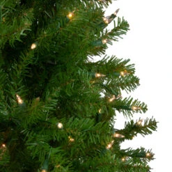 Northlight 4' Pre-Lit Full Northern Pine Artificial Christmas Tree, Clear Lights -Christmas Decor Sale northlight z84470 01 57889.1588370625