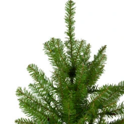 Northlight 7.5' Northern Pine Full Artificial Christmas Tree - Unlit -Christmas Decor Sale northlight z84652 2 05086.1665610749
