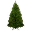 Northlight 6.5' Pre-Lit Northern Pine Full Artificial Christmas Tree - Multi-Color Lights -Christmas Decor Sale northlight z84654 43367.1595894359
