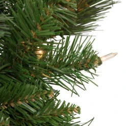 Northlight Mixed Beaver Pine Artificial Christmas Wreath, 24-Inch, Clear Lights -Christmas Decor Sale northlight z92834 3 58552.1656092371