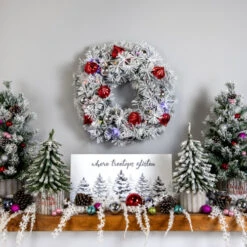 Northlight Pre-Lit Battery Operated Snowy Bristle Pine Christmas Wreath - 24" - Dual Color LED Lights -Christmas Decor Sale northlight z95348 styled 88055.1695225154