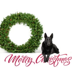 Northlight Dakota Red Pine Commercial Artificial Christmas Wreath - 5' - Unlit 8 Northlight Dakota Red Pine Commercial Artificial Christmas Wreath - 5' - Unlit -Christmas Decor Sale northlight z99437 cxpic 2 84230.1677579788