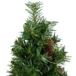 Full Dakota Pine Artificial Christmas Tree - 2' - Unlit 13 Full Dakota Pine Artificial Christmas Tree - 2' - Unlit -Christmas Decor Sale northlight z99925 03 80215.1691247505