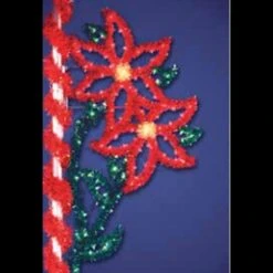 5.5' X 3.5' Double Poinsettia