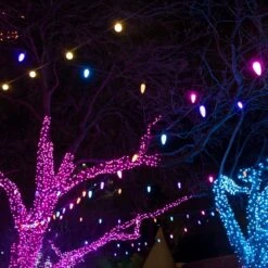 C9 SMD LED Retrofit Bulb - Pink - Pro Christmas™ - Bag Of 25 -Christmas Decor Sale pc c9 pk c