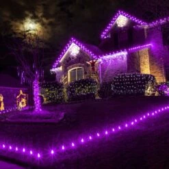 C9 SMD LED Retrofit Bulb - Purple - Pro Christmas™ - Bag Of 25 8 C9 SMD LED Retrofit Bulb - Purple - Pro Christmas™ - Bag Of 25 -Christmas Decor Sale pc c9 pu d 1