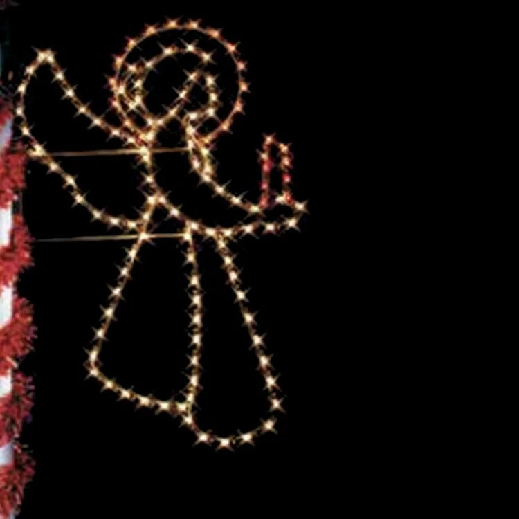 Angel Of Light 3 Angel Of Light