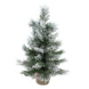 Northlight 18" Flocked Pine Medium Artificial Christmas Tree In Burlap Base - Unlit -Christmas Decor Sale pnmhchqk2ylta8a0wxztr7kbzjucdtoj 03878.1665174049