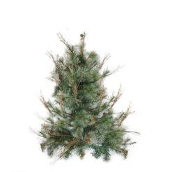 Northlight 2' Full Country Mixed Pine Artificial Christmas Wall Tree - Unlit