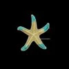 Gold And Aquamarine Deep Sea Starfish Pole Mount 2 Gold And Aquamarine Deep Sea Starfish Pole Mount -Christmas Decor Sale rknpgl01