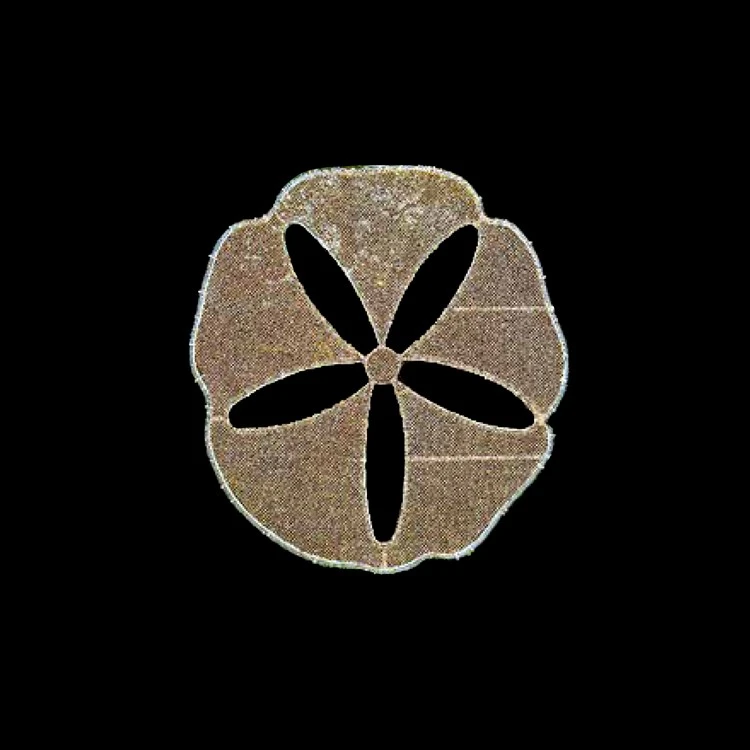 Shimmering Sand Dollar Pole Mount 3 Shimmering Sand Dollar Pole Mount