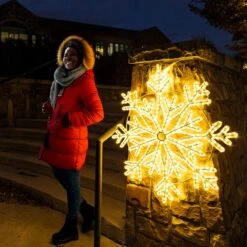 36" Frost Snowflake - Warm White -Christmas Decor Sale rlsf f 36fs ww l