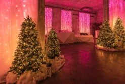 Twinkly Plus - Capsule String - 360 RGB - Clear Wire -Christmas Decor Sale twinkly plus christmas event 3384 2023 5