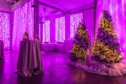 Twinkly Plus - 250L, RGBW Dots - Transparent Wire -Christmas Decor Sale twinkly plus christmas event 3425 2023