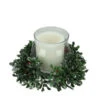 Northlight 6" Clear And Green Boxwood With Berry Tipped Christmas Hurricane Pillar Candle Holder -Christmas Decor Sale xhev4tmcec4sh2hkeko1zsj9bkn9jquj 10259.1588371117